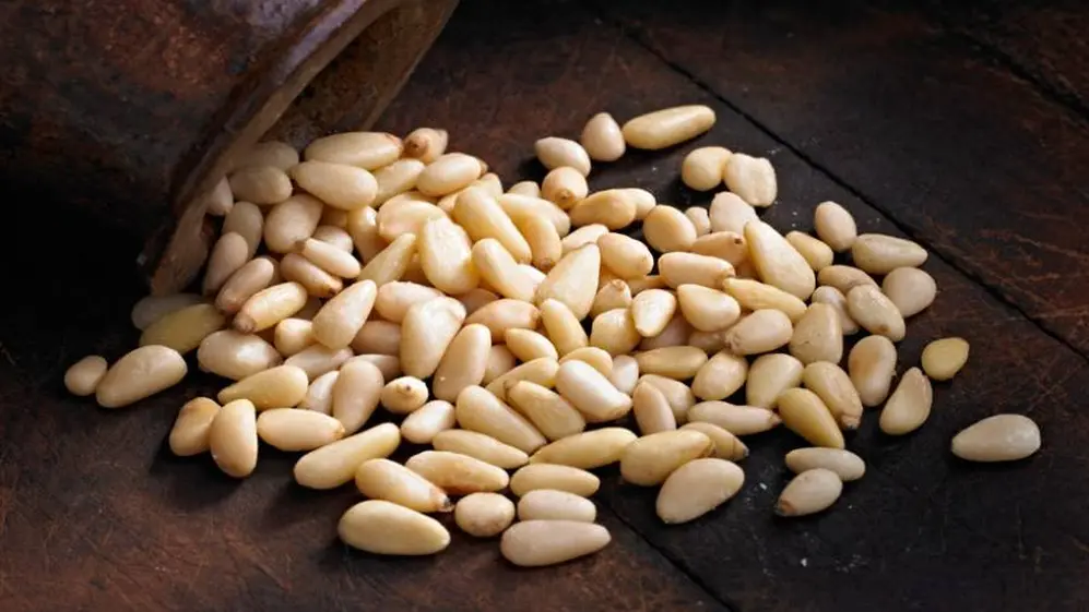 Los piñones son alimentos con proteínas que se pueden elegir para reemplazar este nutriente