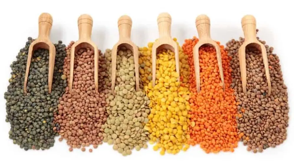 Hay muchas variedades de lentejas y todas son alimentos con proteínas