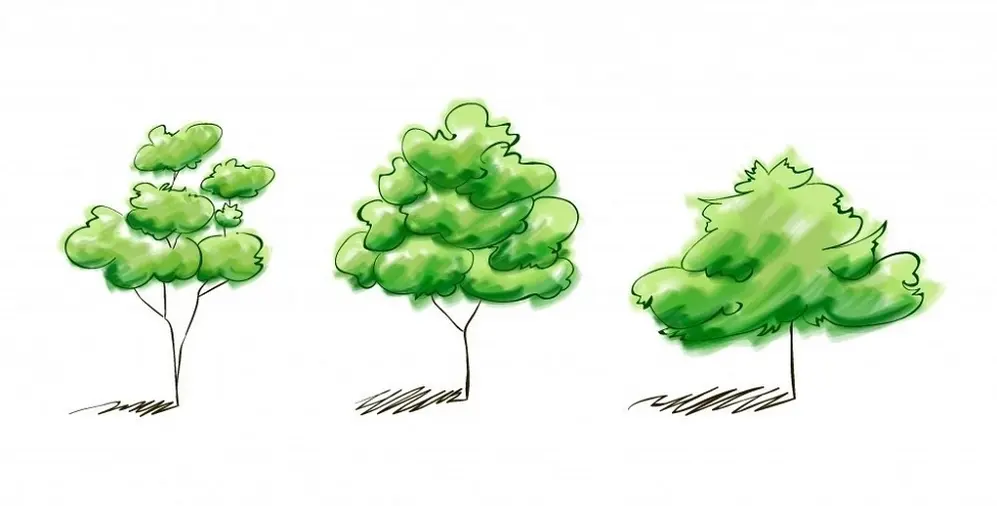 Esto es todo lo que un árbol puede decir de tu personalidad