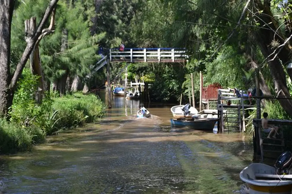 TIGRE