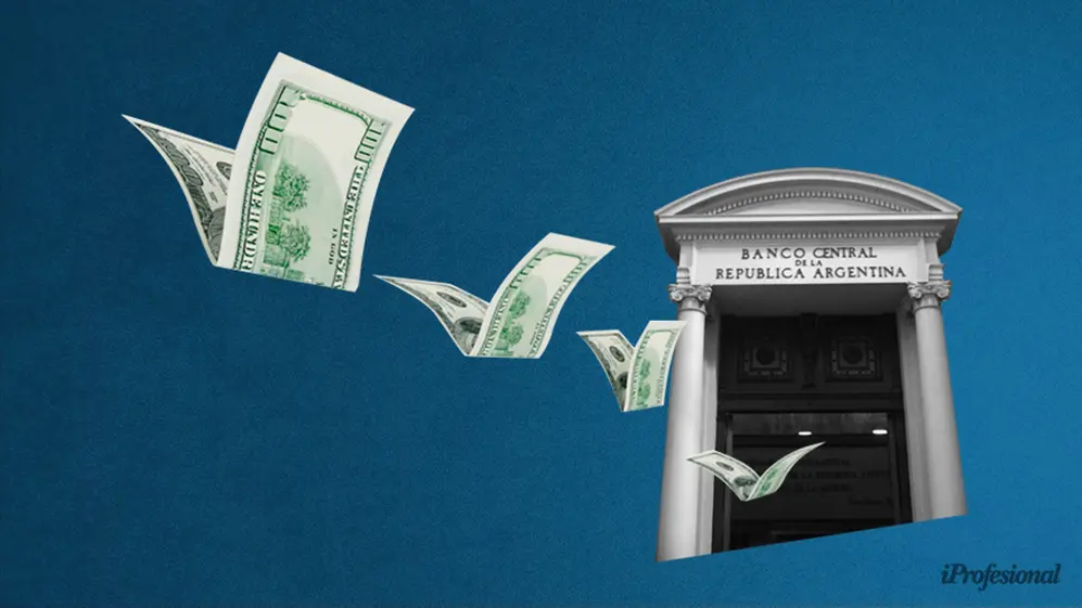 La falta de reservas en el Banco Central generó que aumente el precio de los 