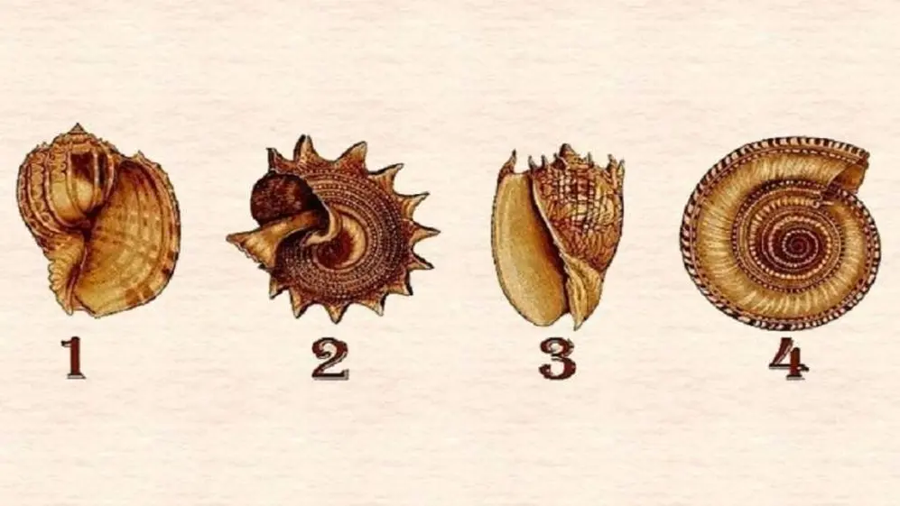 Los caracoles para conocer los resultados del test