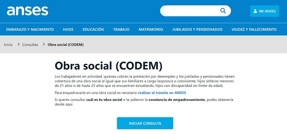 Cómo se obtiene el CODEM - ANSES
