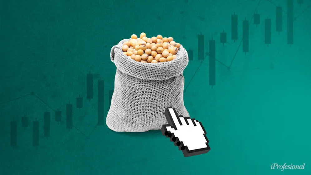 Consecuencia directa del dólar debilitado, la soja inició una espiral ascendente