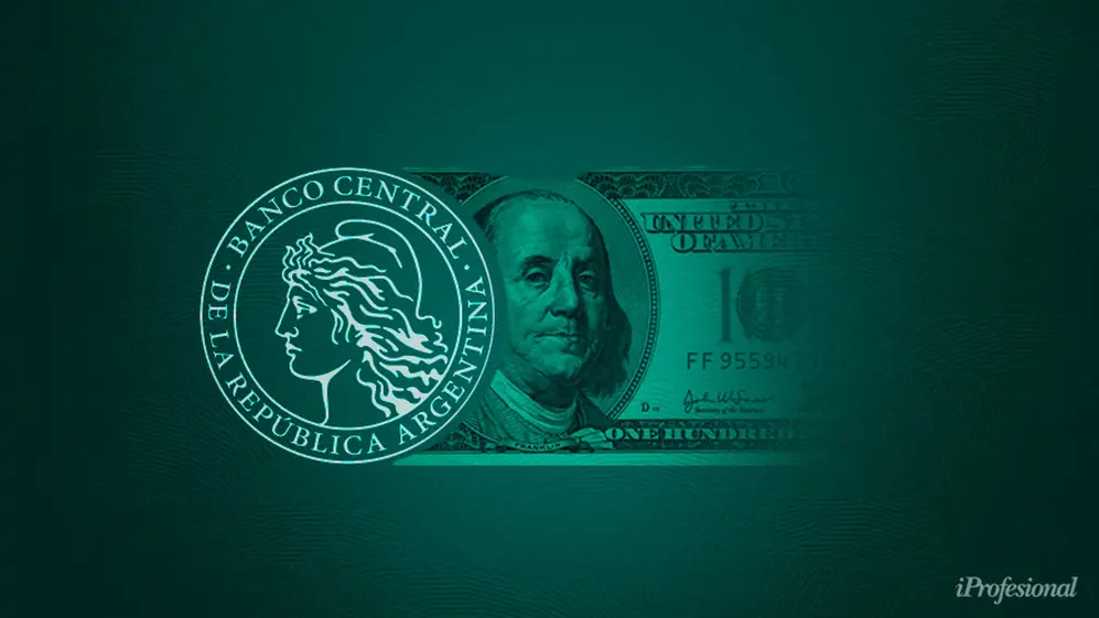 El Banco Central volvió a comprar dólares