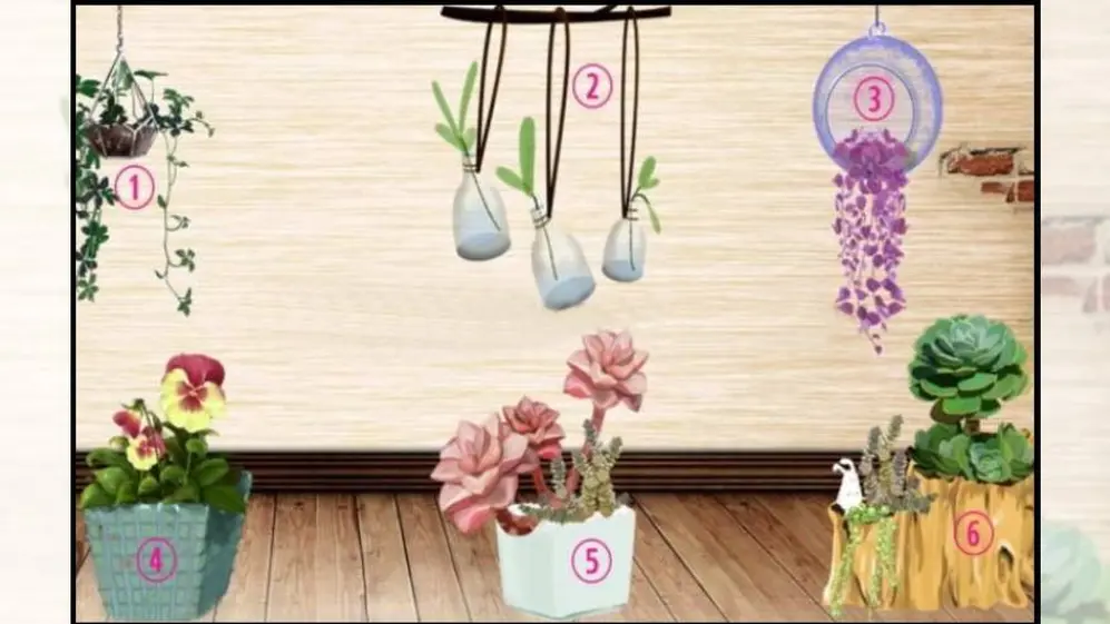 El test de las plantas