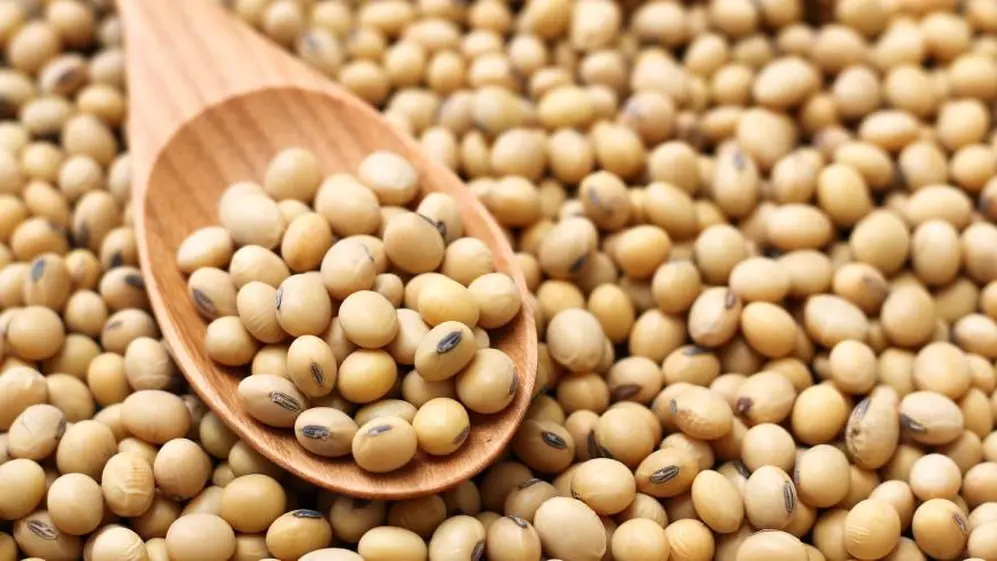 Los productos a base de soja pueden ayudar a potenciar la serotonina