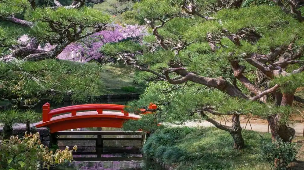 En Japón el salario bruto promedio anual alcanza los 50.000 euros