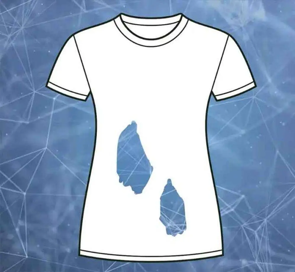 Test casi imposible de resolver: cuántos agujeros tiene la remera