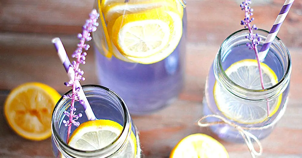 Para que tu limonada tenga un color más divertido podés sumarle lavanda seca