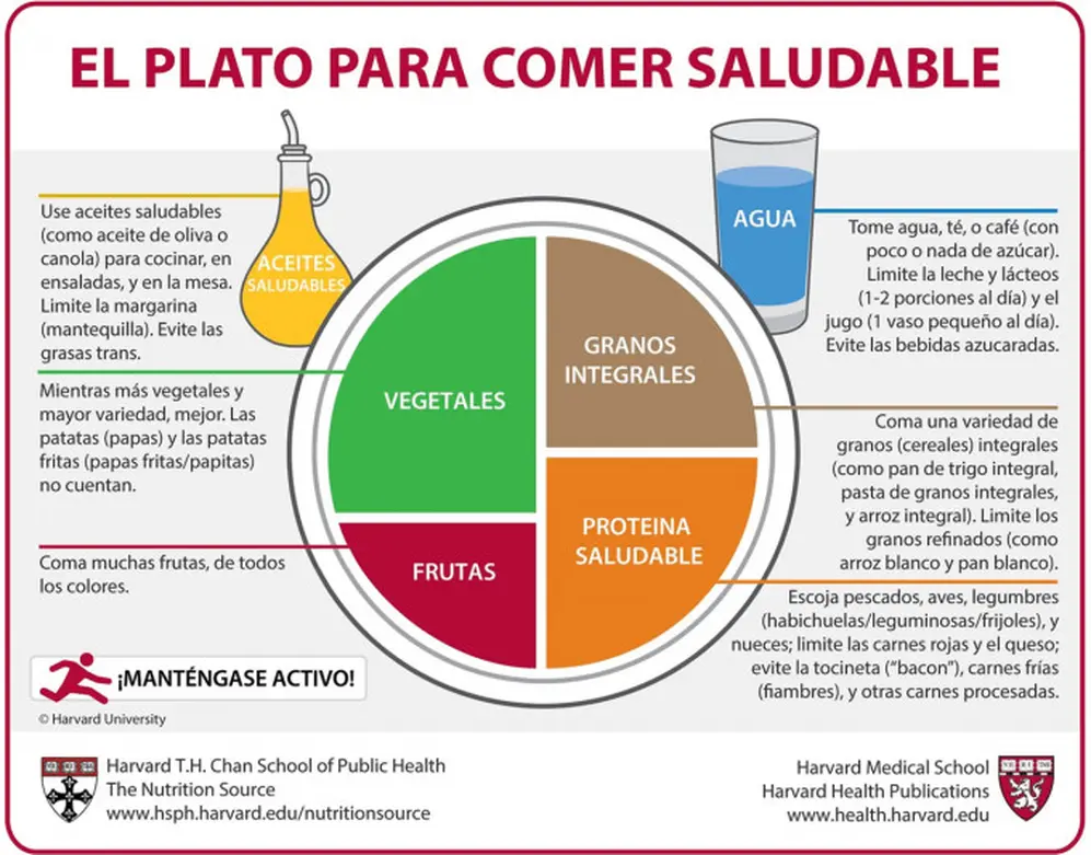 La infografía que armaron desde la reconocida universidad
