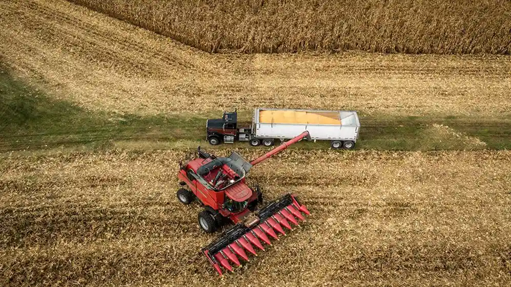 Las decisiones de siembra de los productores se verán afectadas por las medidas intervencionistas del Gobierno