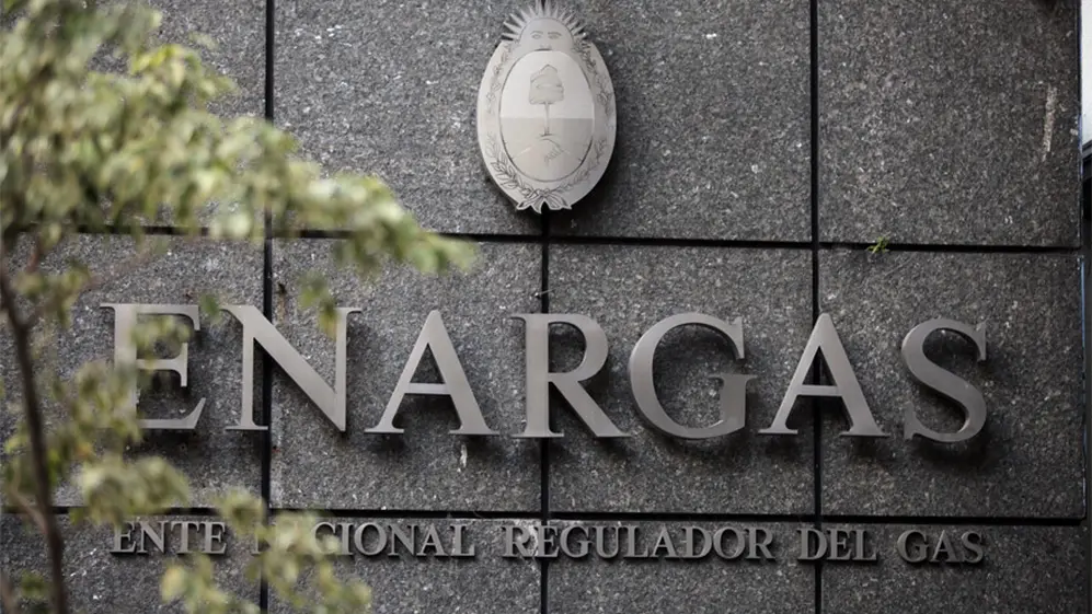 Quienes quieran postularse para pertenecer al ENRE o ENARGAS deberán contar con ciertos requisitos (antigüedad, edad, nacionalidad, etc.).