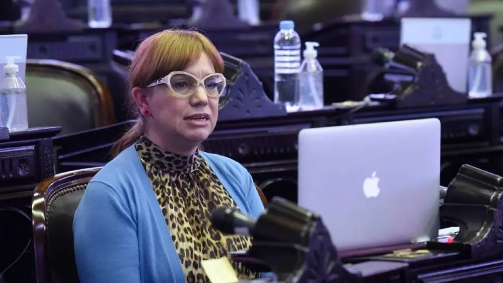 La diputada radical Karina Banfi