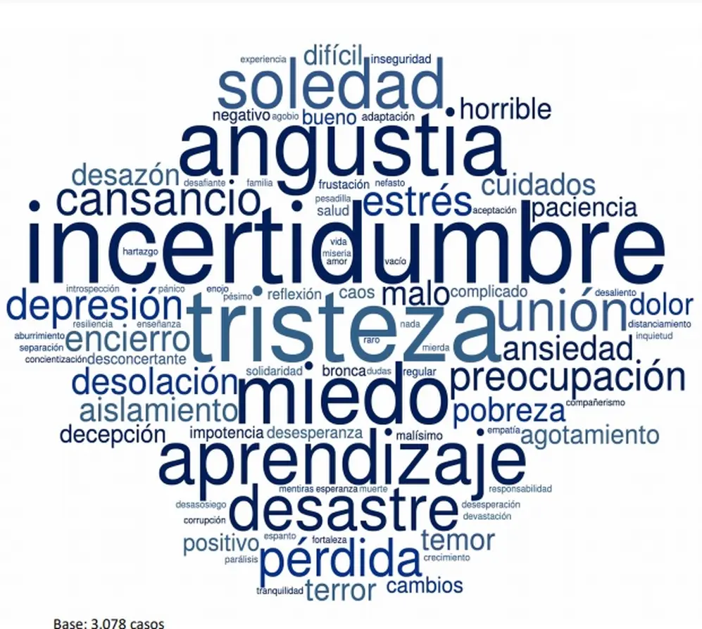Las palabras que eligieron los argentinos para describir el 2020 según el OPSA