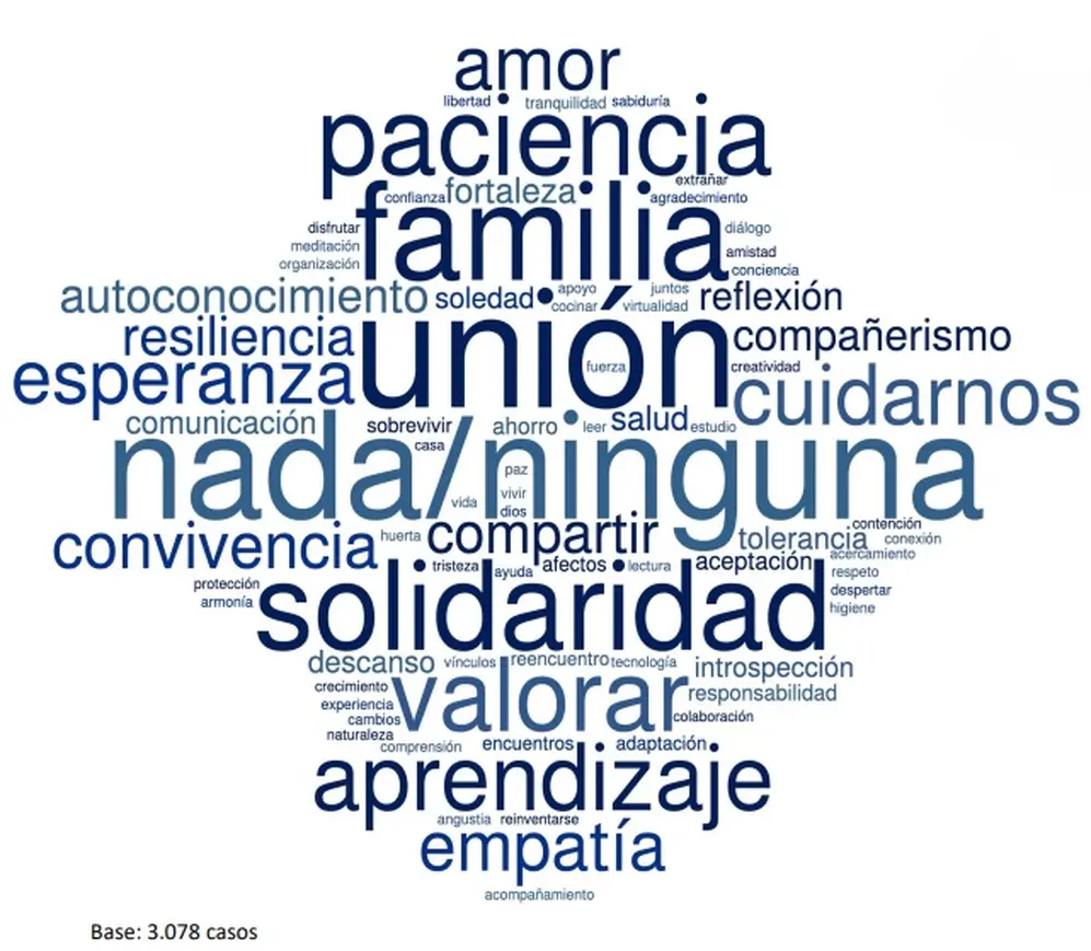Las palabras positivas que eligieron los argentinos para describir el 2020 según el OPSA