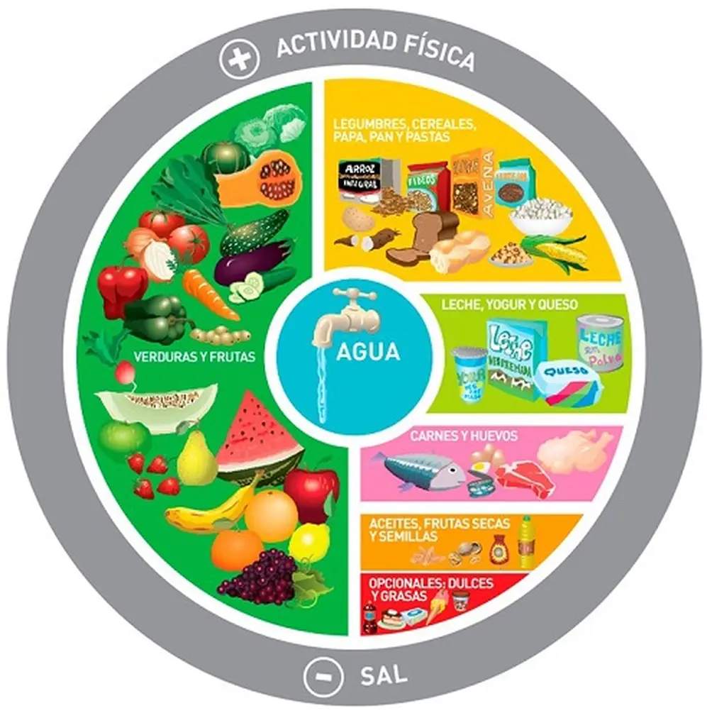 El valor del agua en la pirámide nutricional 