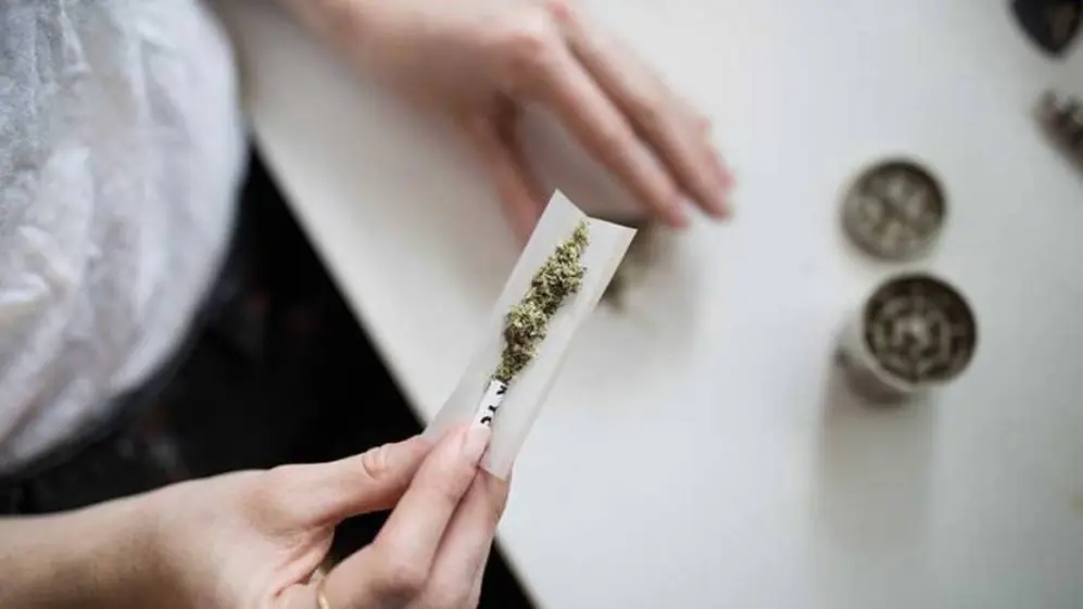En Jujuy incentivan a la producción de cannabis.