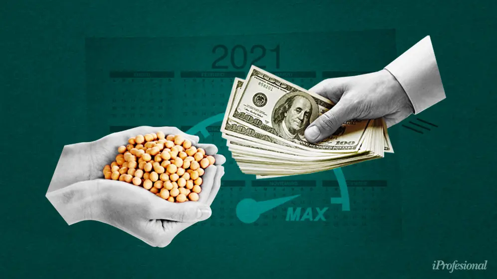 Los expertos prevén que por una baja de precios y el efecto estacional, los dólares del agro irán en declive