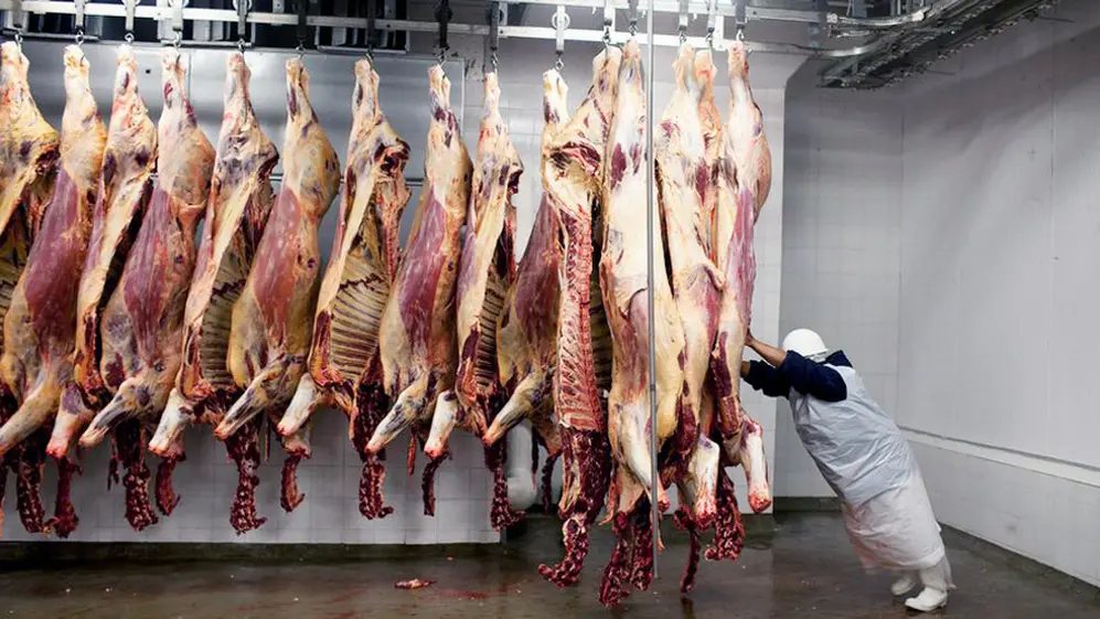 Las restricciones a las exportaciones de la carne ocasionan pérdidas millonarias para la Argentina