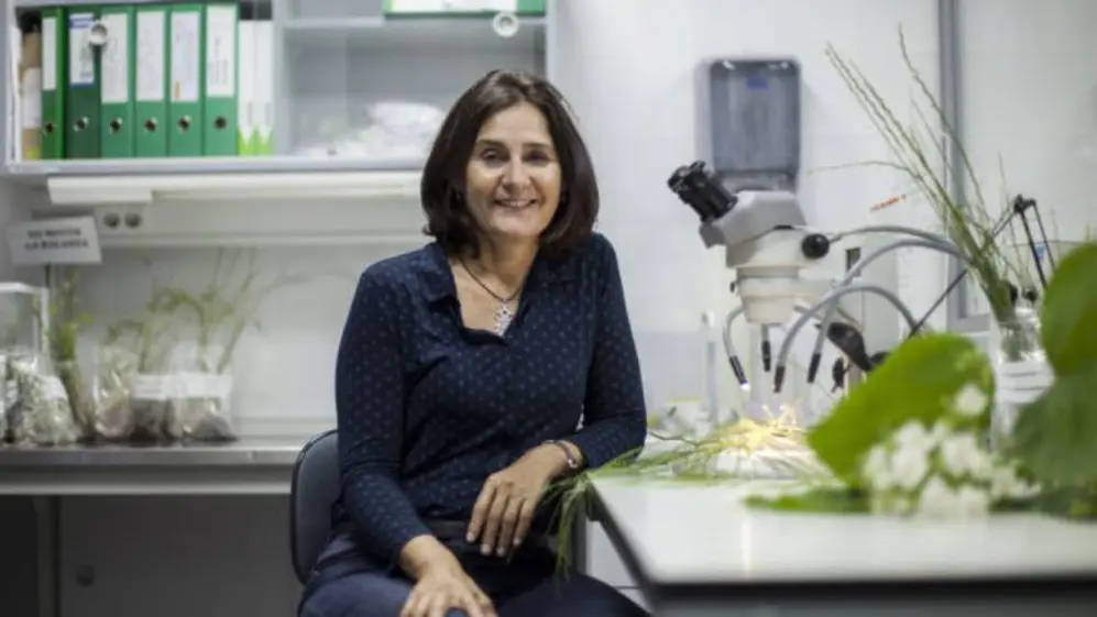 Montserrat Vilà, investigadora consultada por El país