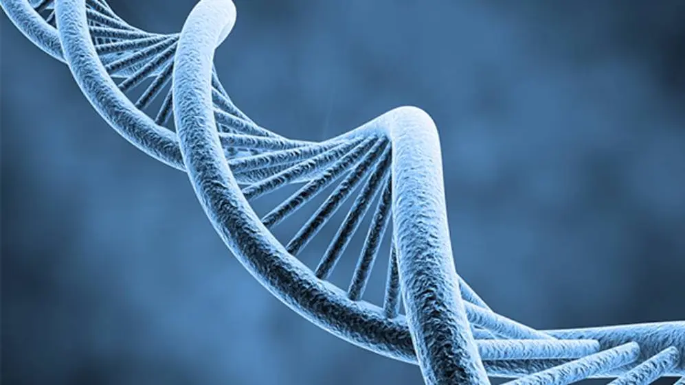 La atrofia medular espinal es una enfermedad genética