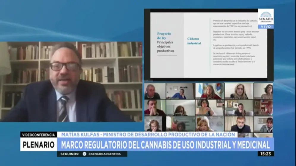 El ministro Kulfas, entusiasta sobre las posibilidades de desarrollo del cannabis.