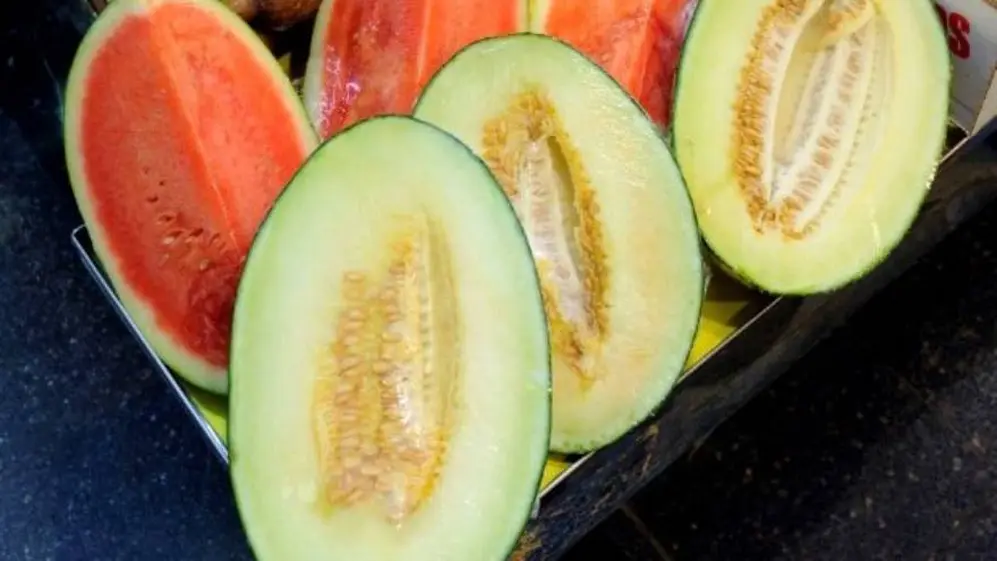 El melón y la sandía son frutas propensas a desarrollar este tipo de bacterias
