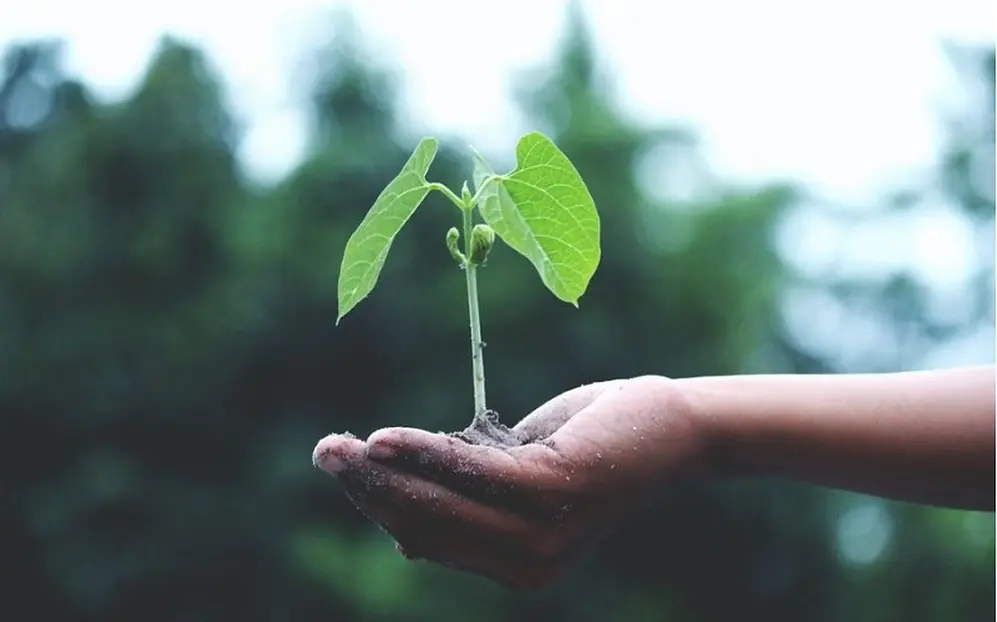 El consumidor valora en forma creciente a la sustentabilidad.