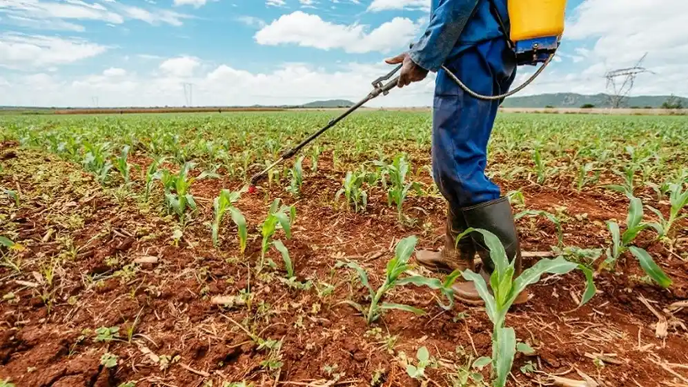 Guerra en Ucrania: Rusia es una de las mayores productoras de fertilizantes, por lo que aumentará el precio de esos productos