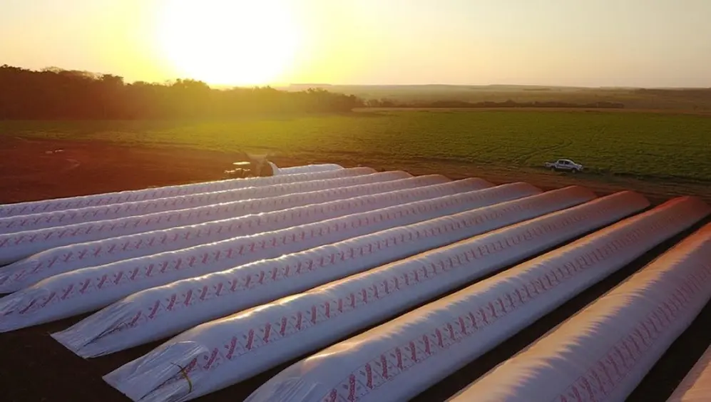 Las silobolsas guardan más de u$s16.000 millones en soja y son el objeto de la disputa entre el Gobierno y los productores agrícolas