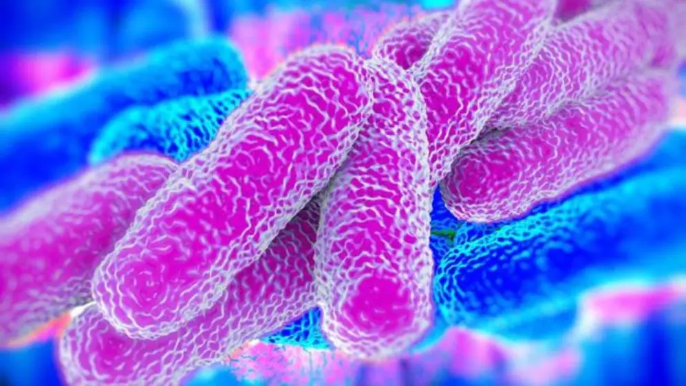 La legionella