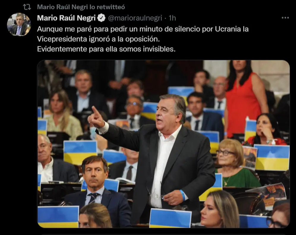 El tuit de Mario Negri