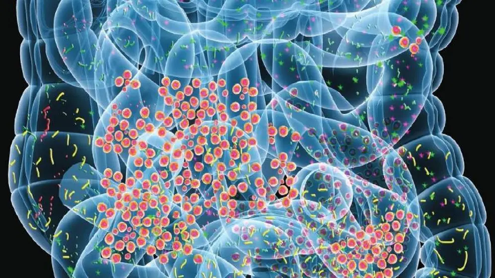 El microbioma intestinal