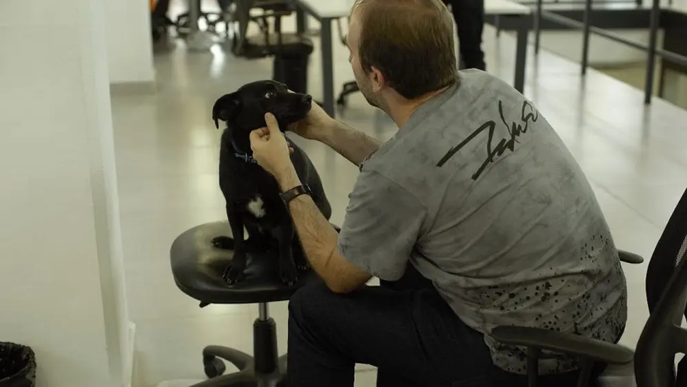 Mascotas en la oficina de Eventbrite en Mendoza