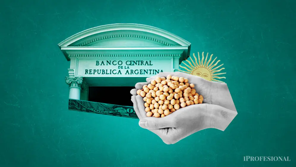 El Gobierno vuelve a mirar a la soja para recuperar reservas.