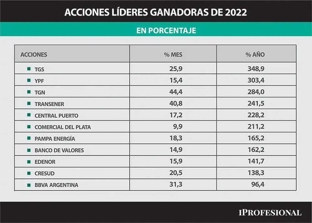 Las acciones de empresas líderes subieron hasta 349% en todo 2022, como fue el caso de Transportadora de Gas del Sur (TGS).