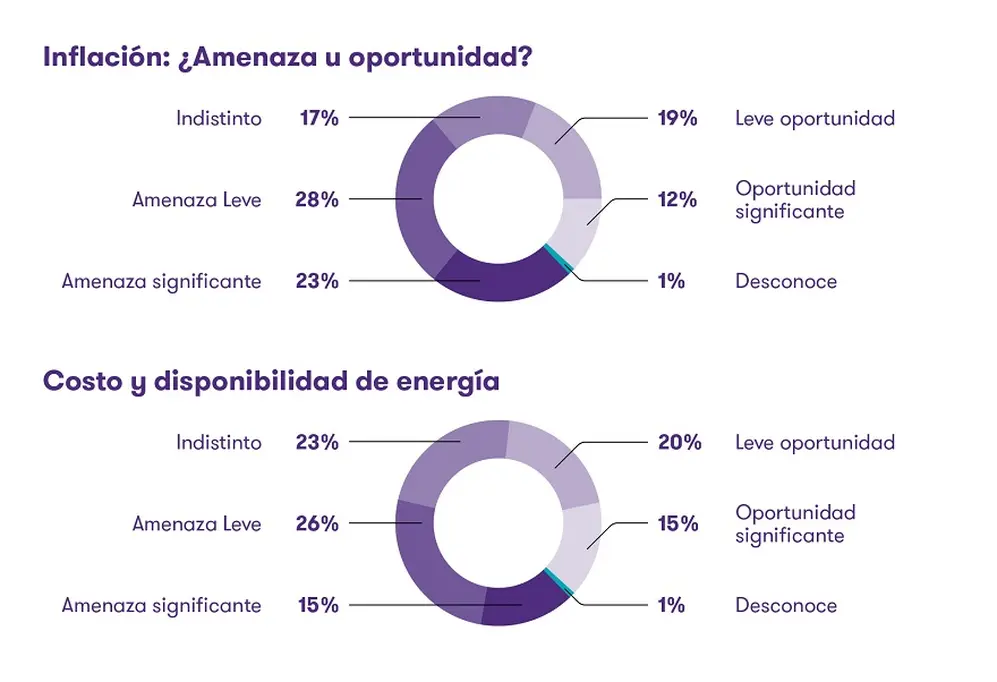 Medidas de las empresas para mitigar la inflación (Fuente: Grant Thornton)