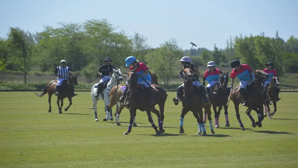 En la exposición habrá partidos de pato y polo