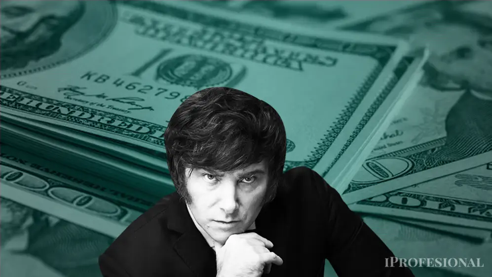 Una de las propuestas de Javier Milei fue la de dolarizar la economía argentina