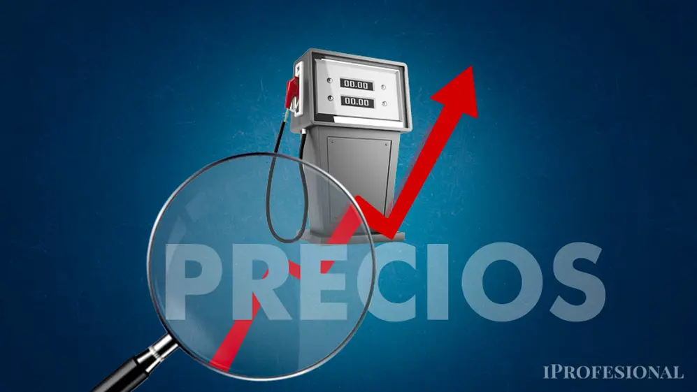 La semana previa a la asunción de Milei, los combustibles aumentaron hasta un 25%