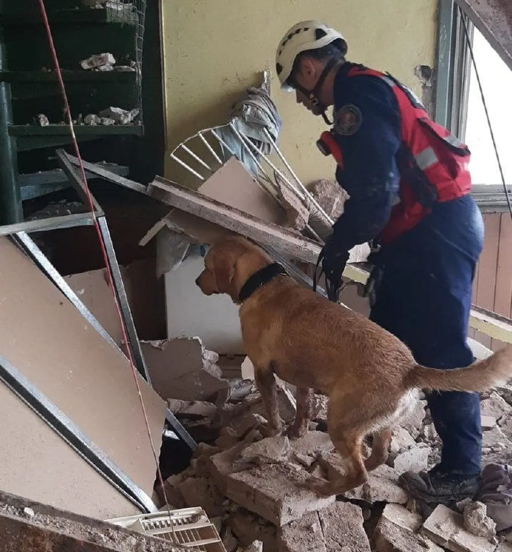 Bomberos rescataron a la pareja de la víctima. Tenía 80 años.