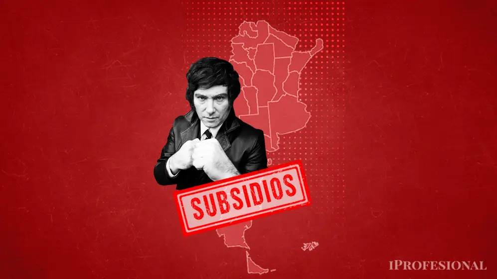 El Gobierno de Javier Milei comenzó a aplicar la motosierra y recortó la ayuda económica prevista para la compra bonificada de garrafas del Programa HOGAR 