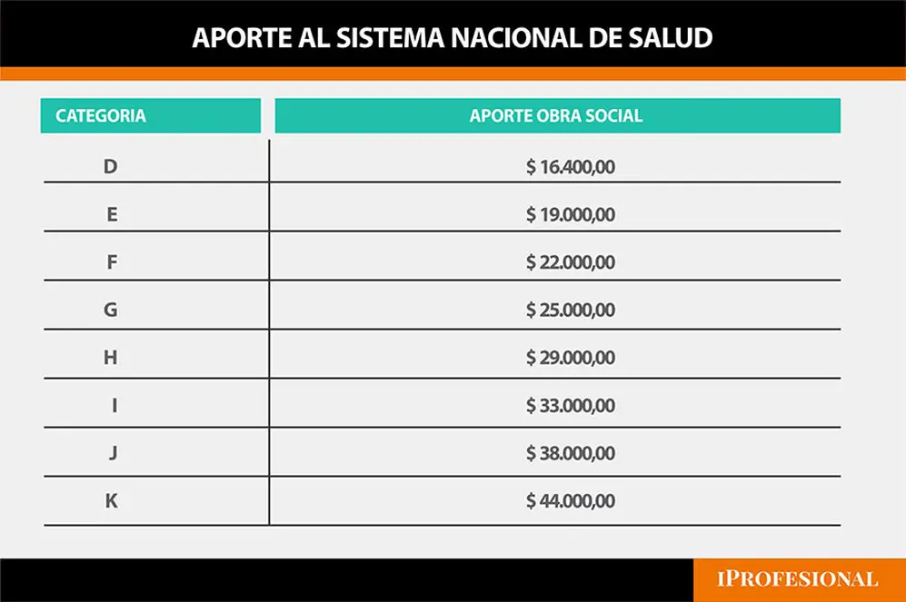 El aporte al sistema nacional de salud por categoría.