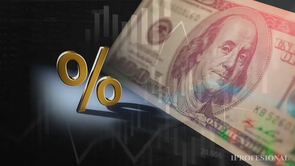 El fondo común de inversión (FCI) money market en dólares permite obtener rendimientos diarios con los billetes estadounidenses.