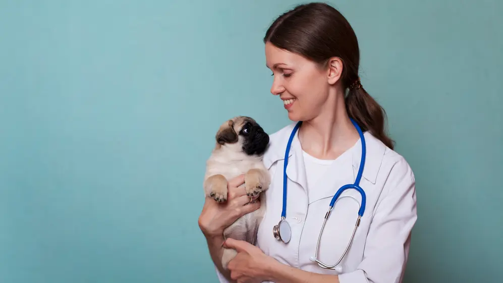 Los planes de salud de Iké arrancas desde los $18.000 y todos brindan los servicios mínimos necesarios, desde consultas médicas, hasta cirugías e internaciones