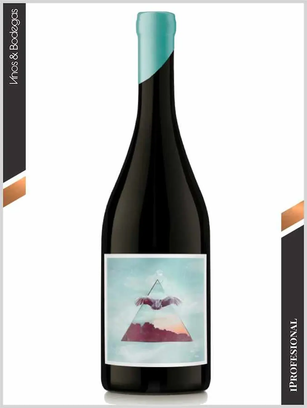 Nodo Aire Pinot Noir 2022 | Nodo Wines