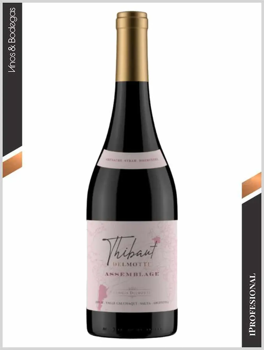 Thibaut Delmotte Assemblage GSM Tinto 2022
