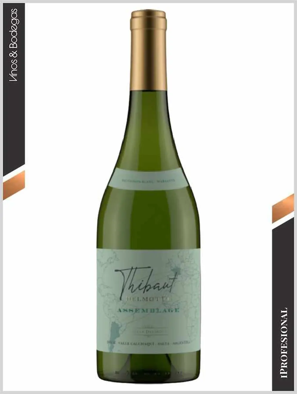 Thibaut Delmotte Assemblage GSM Tinto 2022
