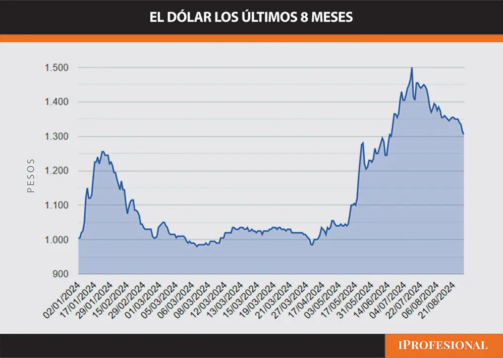 La evolución del dólar en los últimos 8 meses